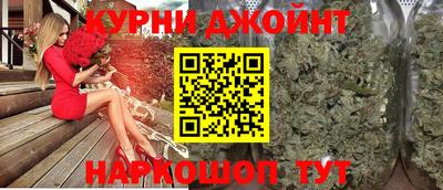 крисы Кулебаки