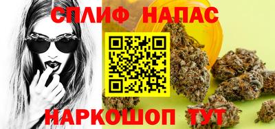 крисы Кулебаки