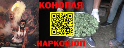 гашик Кунгур