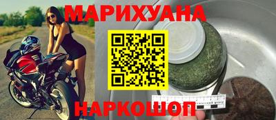 крисы Кулебаки