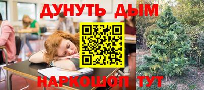 гашик Кунгур