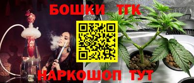 гашик Кунгур
