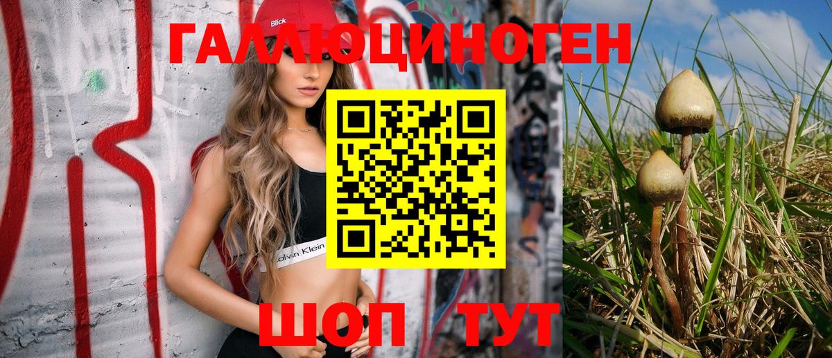 Чехов  Галлюциногенные грибы мухоморы  Вход с VPN 